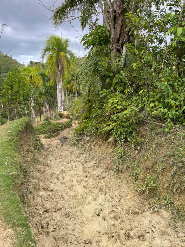 wasserfall samana halbinsel salto el limon