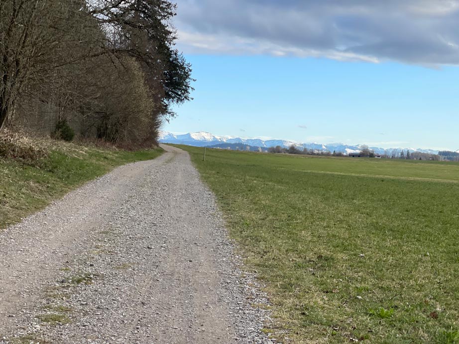 blick über weg auf allgäuer alpen