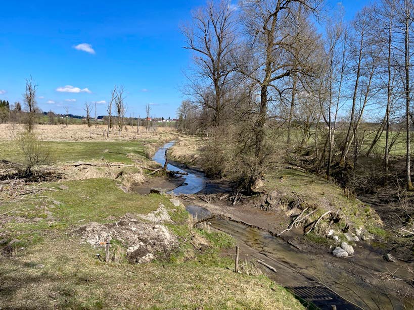 center parcs allgaeu ausflugsziele wasserbueffel leutkirch