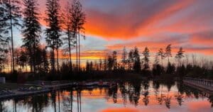 Mehr über den Artikel erfahren Center Parcs Allgäu: Lohnt sich der Familienurlaub wirklich? Unsere ehrlichen Erfahrungen