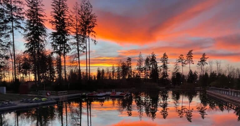 Mehr über den Artikel erfahren Center Parcs Allgäu: Lohnt sich der Familienurlaub wirklich? Unsere ehrlichen Erfahrungen