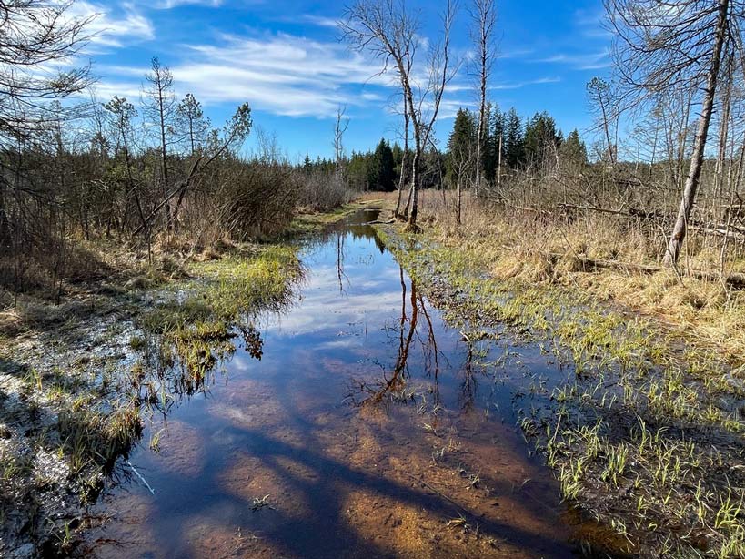 moorlandschaft im allgäu
