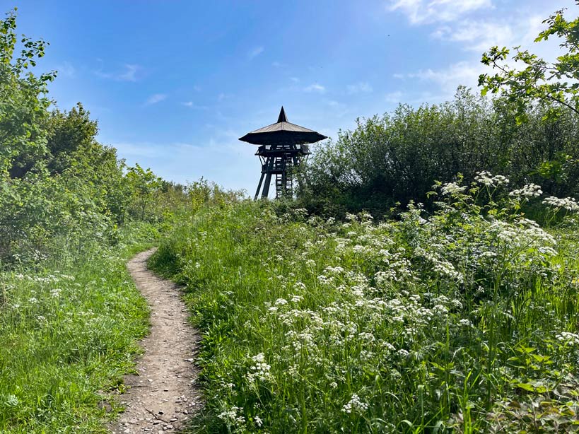 Eggeturm auf der Velmerstot