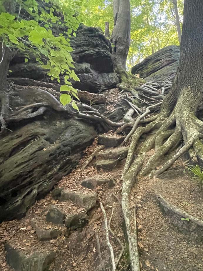 hexenpfad teutoburger wald wanderungen