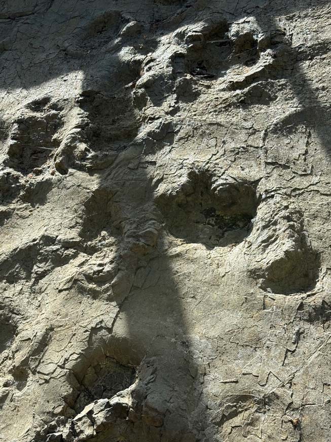 dinosaurierfährten
