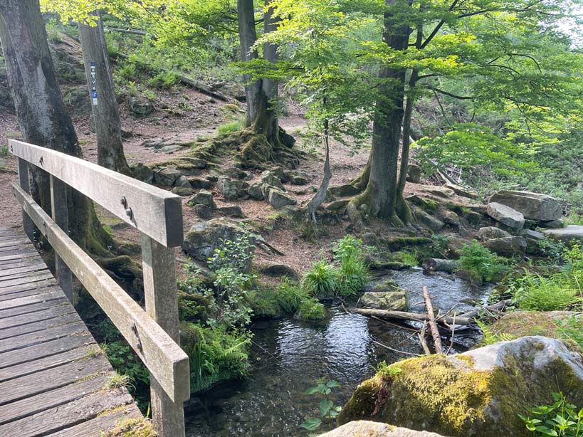 brücke über bach im silberbachtal