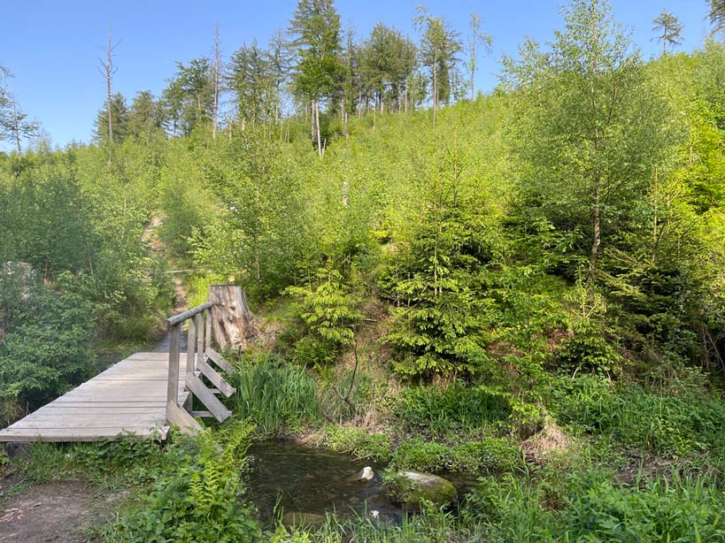 brücke über bach im silberbachtal
