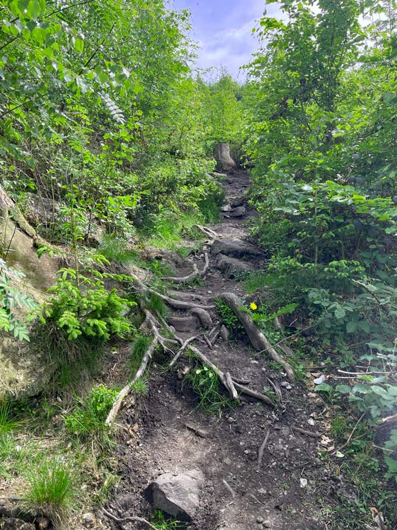 wurzeltrail auf den velmerstot