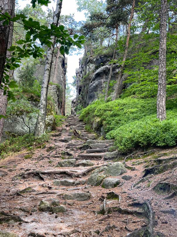schlucht zu den nonnenfelsen in der oberlausitz