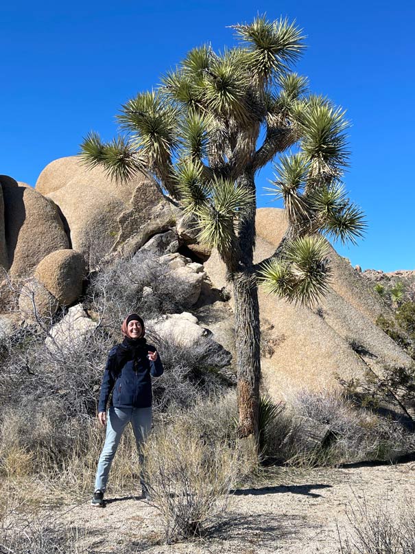 routen nationalparks usa joshua tree 1