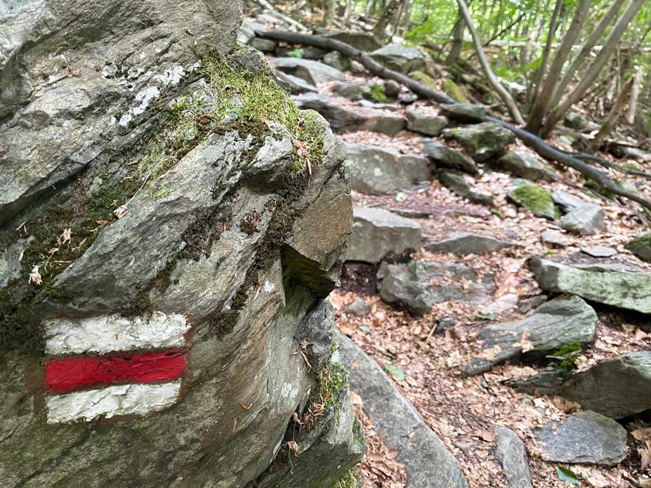 steiniger und felsiger weg zur hochwaldbaude