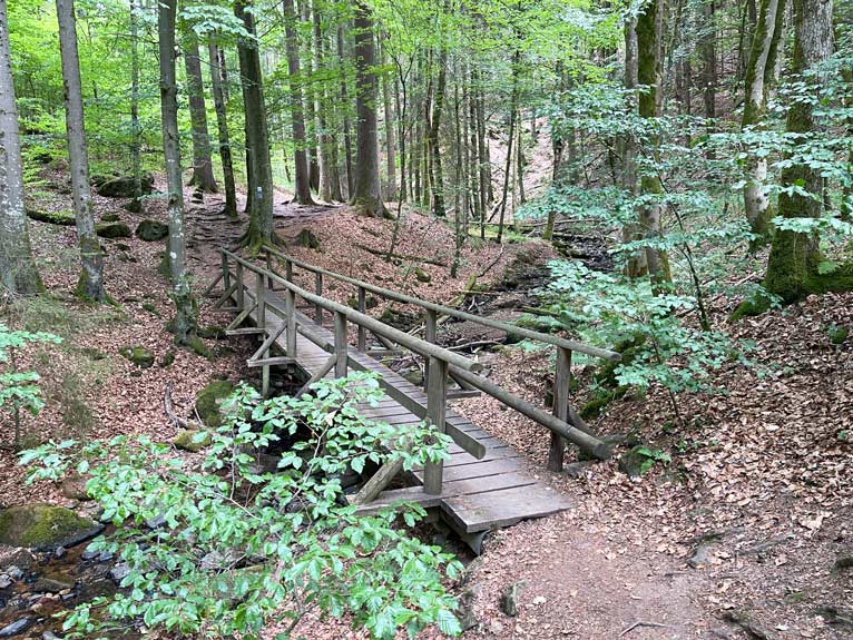 holzbrücke kaskadenschlucht rhön