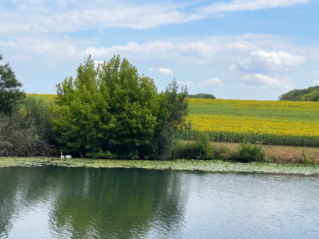 landschaft saone hausbooturlaub