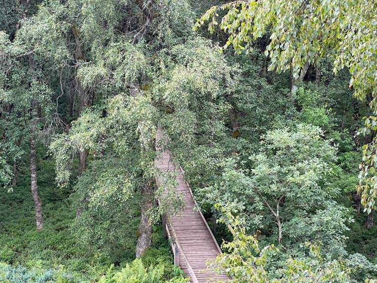 rotes moor rhoen aussichtsturm