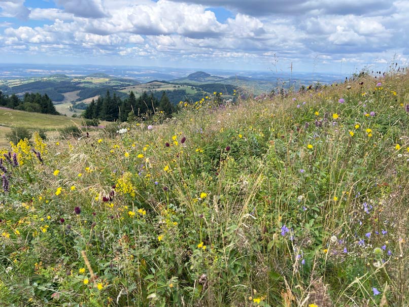 wanderung wasserkuppe rhoen geo lehrpfad